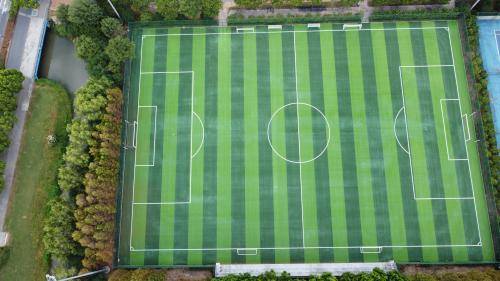 人造草坪足球场